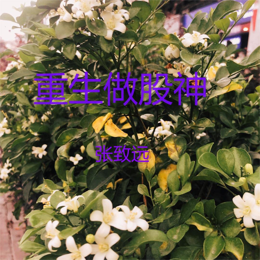 重生之股神大享 小说