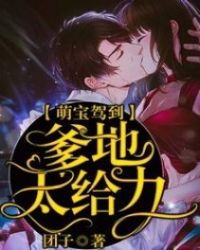 萌宝驾到爹地投降吧108