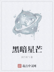 黑暗星芒完结了吗